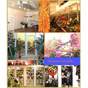 Охлаждаемые камеры хранения цветов. фото
