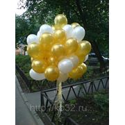 Букет из воздушных шаров- белый и золото - 50 штук. фото
