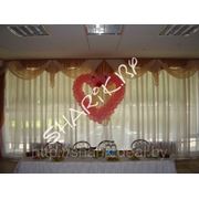 Лебедушки фото