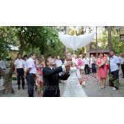 Гелевые - био голуби на свадьбу в Алуште, Ялте и Симферополе!