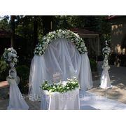 Свадебная арка в комплекте прокат ассортимент фотография