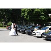 Авто на свадьбу, свадебное авто с водителем, свадебный кортеж, аренда, прокат, Свадьба Полтава фото