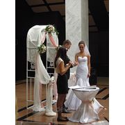 Выездная церемония брака фото