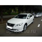 Такси Новосибирск Рубцовск фото