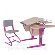 Набор школьной мебели Дэми СУТ.14-02 клен/розовый со стулом