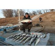 Рыбалка и отдых в Астрахани на базе Золотая Дельта. фото