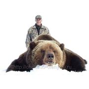 Весенняя охота на бурого медведя в Якутии фото