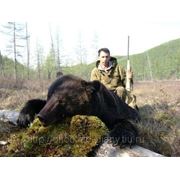 Осенняя охота на бурого медведя в Якутии фото