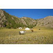Приключенческий конный тур «Кочевники Байкальских степей»