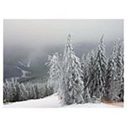 «Зима, лыжня и чары гор… Карпаты» фото