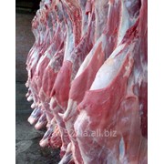Мясо говядины в п\тушах, блочное, в/с, 1-2 категории - ЭКСПОРТ - Халяль фото