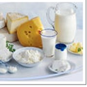 Производство молока и сыра. фото