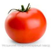 Свежие томаты/помидоры фотография