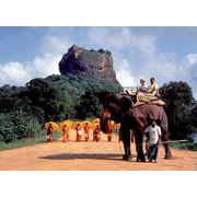 Тур на Шри -Ланку фото
