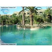 Отдых в Тунисе. Отель “Mediterranee Thalasso Golf“ 3* фотография