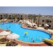 Отдых в Египте..Отель “Sunrise Island View“ 5* фото