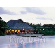 Отдых на Мальдивах. Отель “Taj Exotica Resort SPA “5* Luxe фото