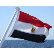 Виза в Египет фото