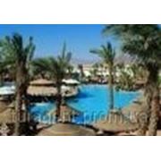 Отдых, туры, путевки в Египет Sierra Resort 5* (Шарм-Эль-Шейх) фото