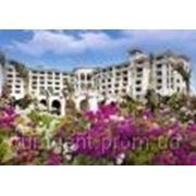 Отдых, туры, путевки в Египет Stella Di Mare Sharm Beach Hotel & Spa 5* (Шарм-Эль-Шейх, Premium & Luxury) фото