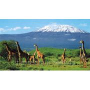 Тур в Танзанию "Восхождение на Килиманджаро"