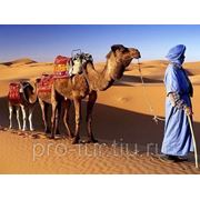 Туры в Марокко фото