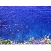 Марианские острова. Сайпан фотография