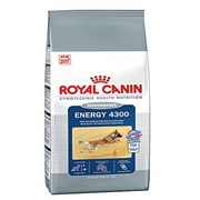 Cyno Energy 4300 Royal Canin корм для взрослых собак, От 15 месяцев до 6 лет, Пакет, 17,0кг фото