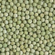 Зелёный горох на экспорт Green peas фото