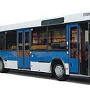 Автобус МАЗ-105-065 городской сочлененный фото