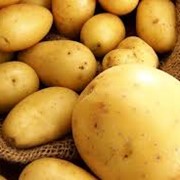 Свежая картошка фото