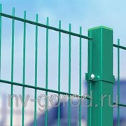 Забор Gardis Medium 2D Покрытие: цинк + полимер 2500*1830 фото