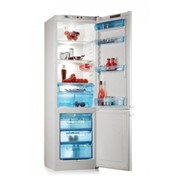Шкаф холодильный POZIS RK-126-1 (Hannfrost) фото