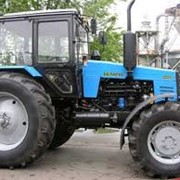 Беларусь трактор фото