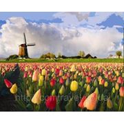 Нидерланды фотография