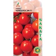 Семена томатов SAKATA фото