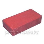 Тротуарная плитка (ST4 Thin Paving Brick) фото