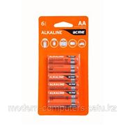 Батарейки ACME Batteries AA Alkaline LR6/6pcs 10/120 фото