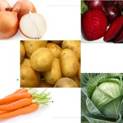 Купить свежие овощи в Киеве