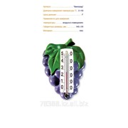 Термометр сувенирный Виноград ТУ У 33.2-14307481.027-2002 фото