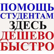 Дипломная работа по теме Банки и банковские системы Дипломная работа по теме Банки и банковские системы