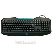 Клавиатура Acme Expert Gaming Keyboard Adjudication фото