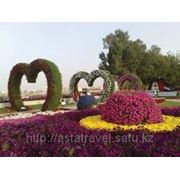 В Дубае открылся цветочный парк фотография