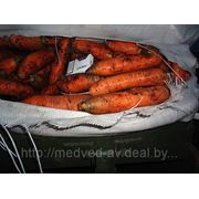 Морковь крупная (на "корейские" салаты)