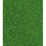 Линолеум Бытовой IVC Bingo Style Grass 25 2 м рулон фото