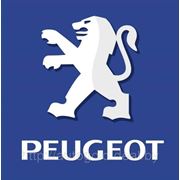 Каталог запчастей PEUGEOT , Продажа автозапчастей PEUGEOT , Запчасти PEUGEOT фотография