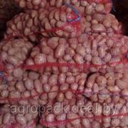 Сетка овощная, мешок сетчатый красный с завязками на 30-40 килограмм, доставка, Минск