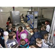 Борисов – Студёнка - Брилевское поле - фабрика мороженого фото