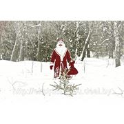 Прокат костюма Деда мороза фото