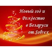 Новый год и Рождество в центре «ЛИДИЯ» 30.12.2012-08.01.2013 фотография